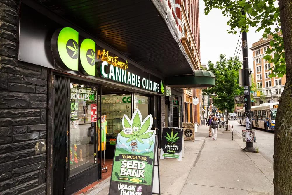 Cannabis local citations and dispensary directory listings
